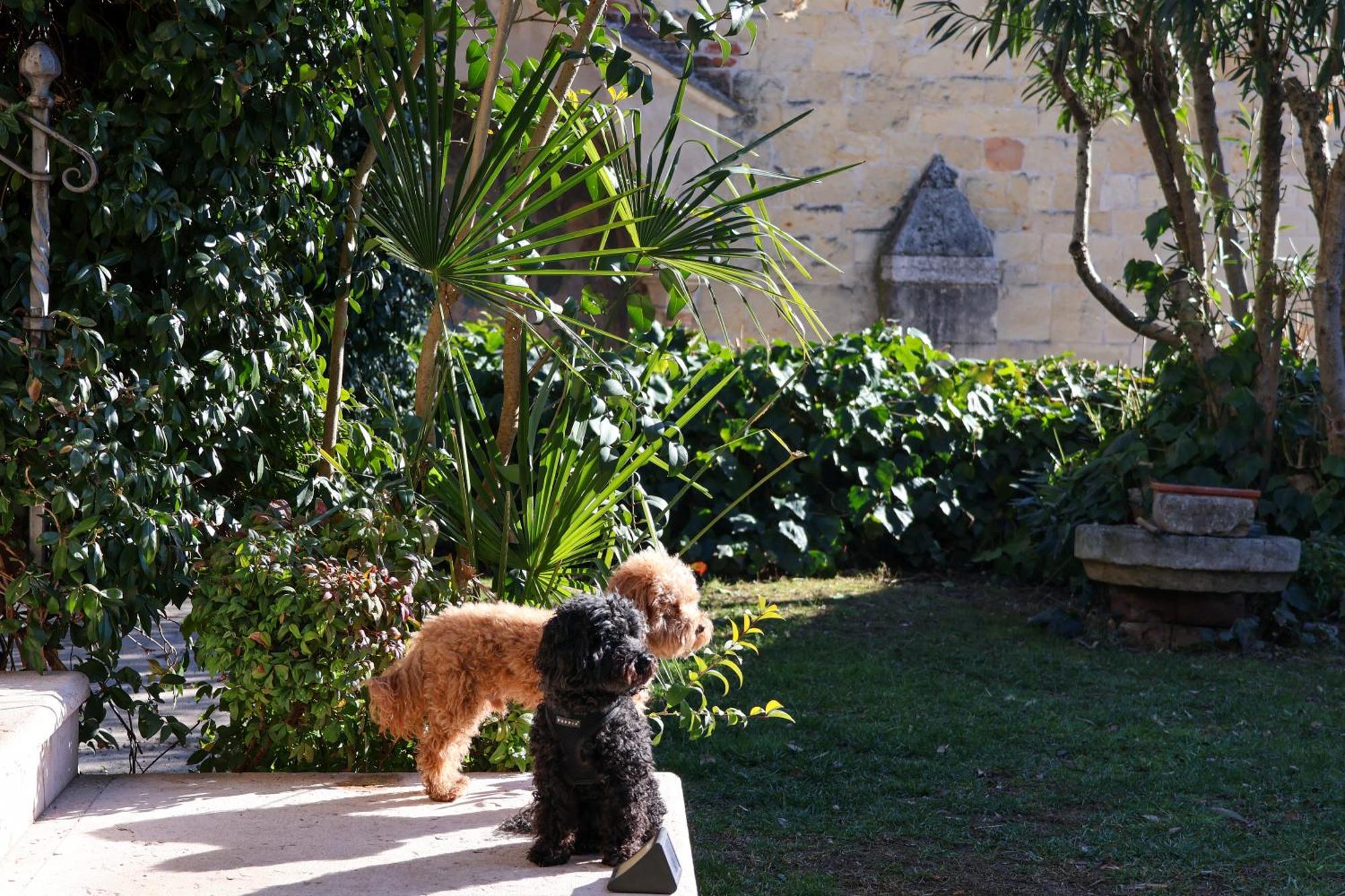 Aurelia Maison Verona Esterno foto