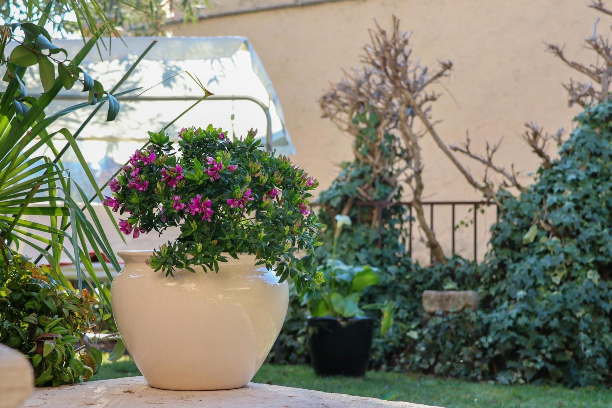 Aurelia Maison Verona Esterno foto